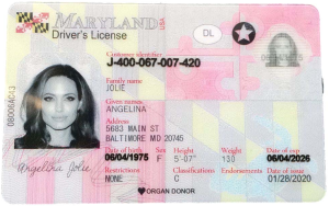 Maryland Driver License - Maryland Scannable IDS